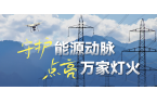 电网春检正当时！当虹科技10-100倍动态感知压缩，让无